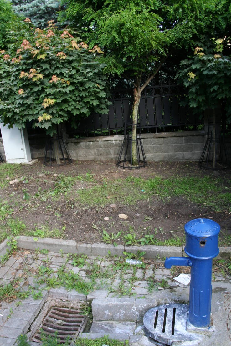 žydrieji Vilniaus hidrantai