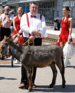 Haroldas Mackevičius