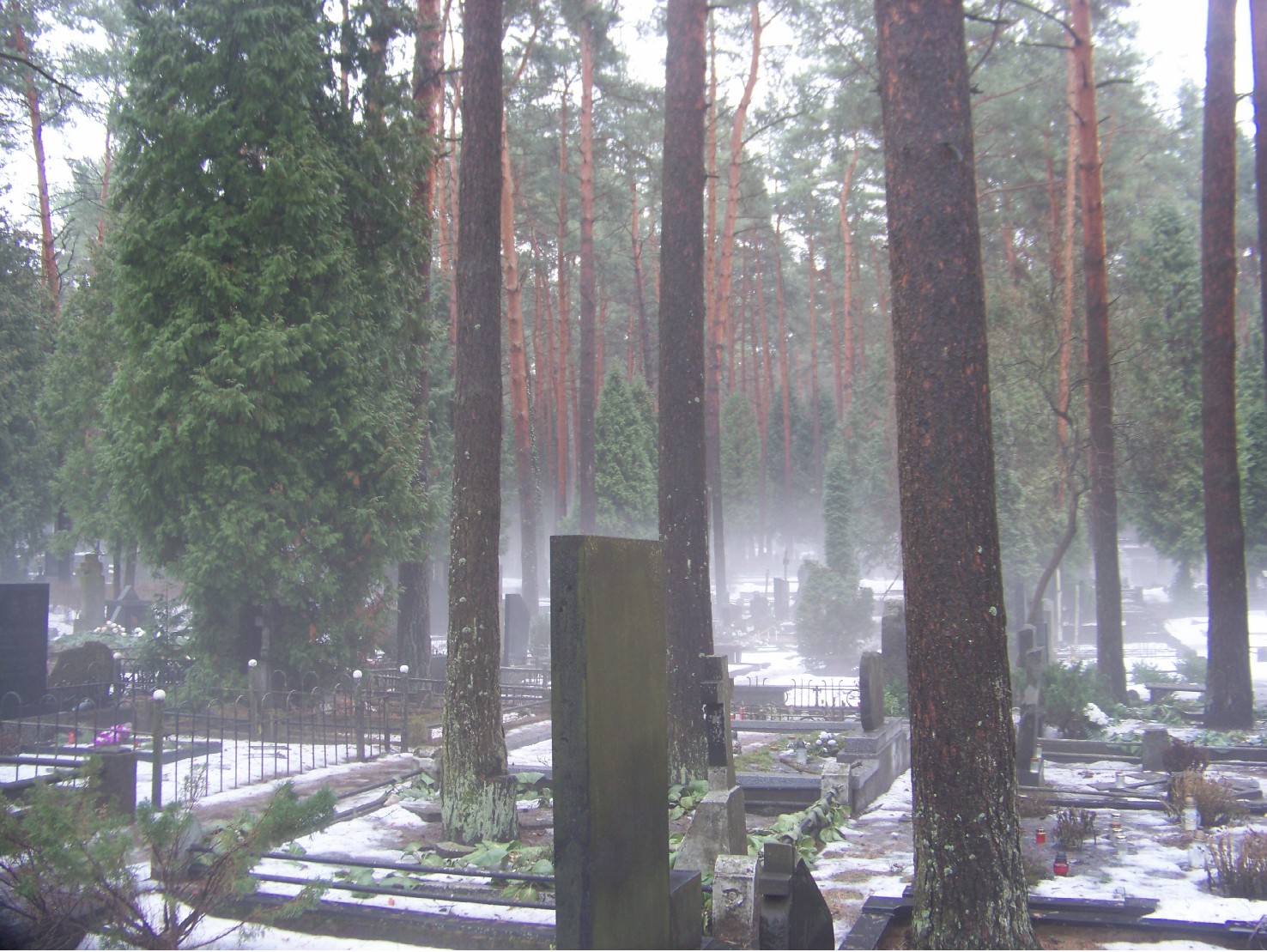 cemetery