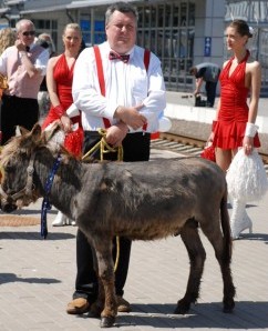 LNK: VIENU ASILU MAŽIAU Haroldas Mackevičius; asilas